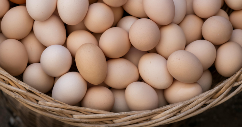 Diversification vs “diworsification”