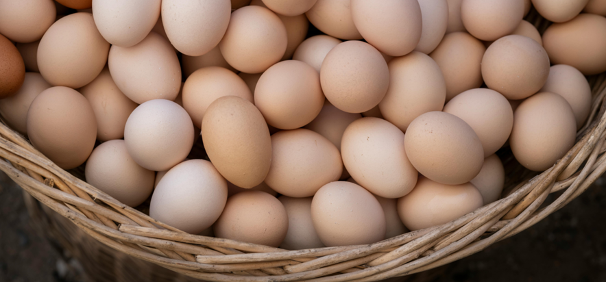 Diversification vs “diworsification”